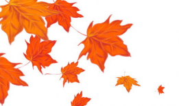 枫叶动漫,描绘东方奇幻的绚丽画卷